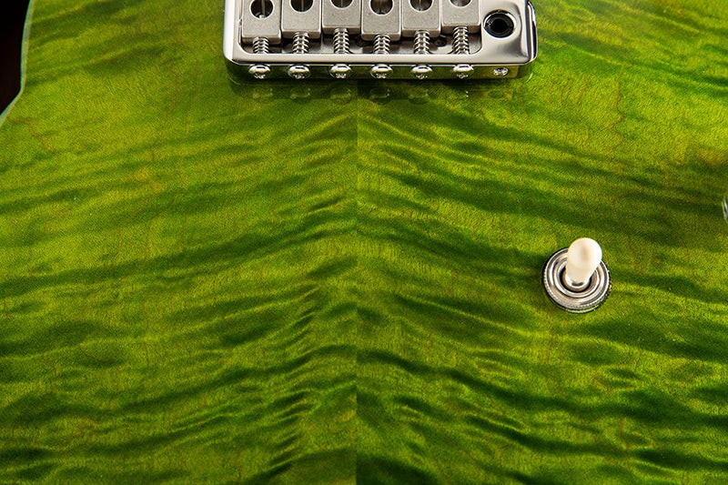 Paul Reed Smith CE 24 Semi-Hollow Eriza Verde