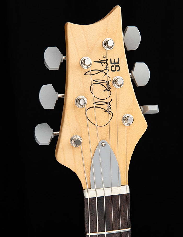 PRS SE Silver Sky Dragon Fruit – Motor City Guitar